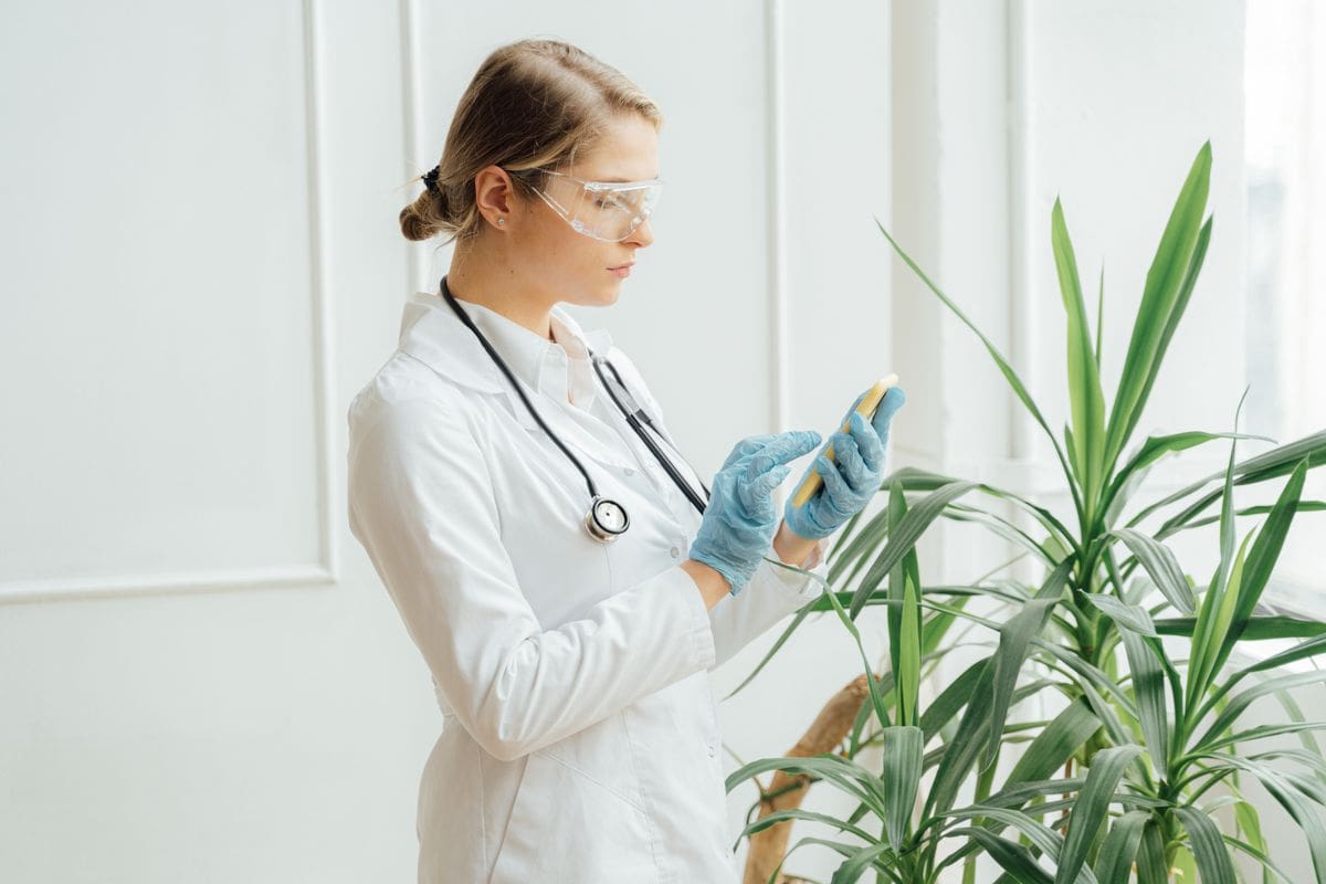 Bác sĩ tra cứu hồ sơ sức khỏe điện tử